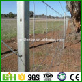 Factory Supply Grassland Fence/ Sheep Wire Mesh fence/Field Fence